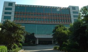 新德服装（深圳）有限公司